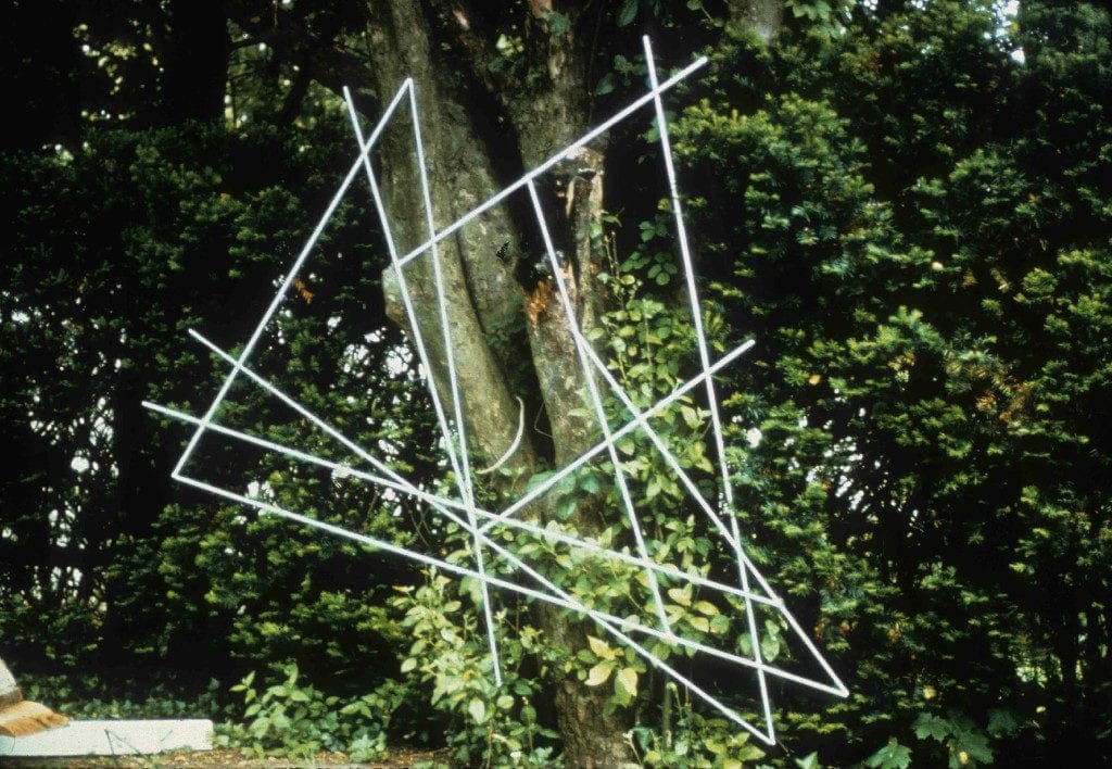 A tree with many lines on it