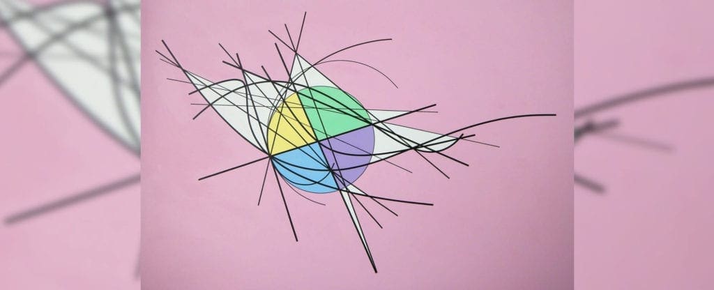 A bird with many lines on it's back.