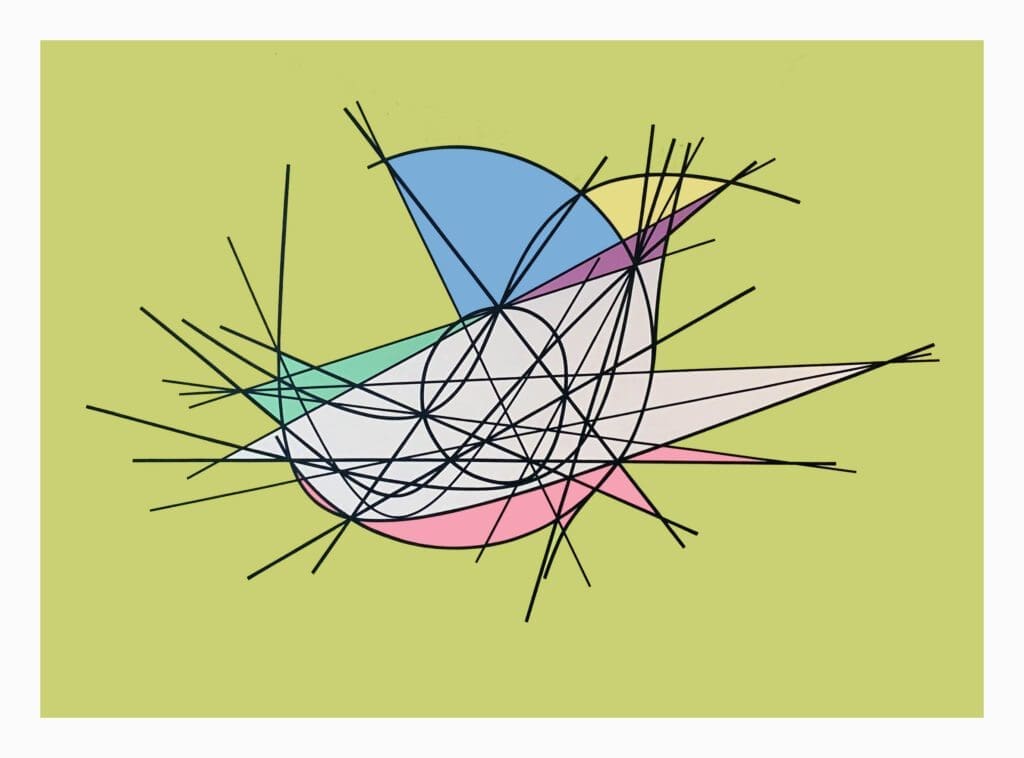 A drawing of a bird with many lines coming out of it.