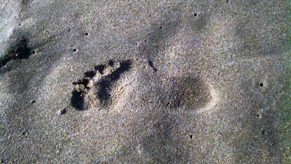 Footprint. Beach.  2022. Florida. Fuji Underwater Camera  
