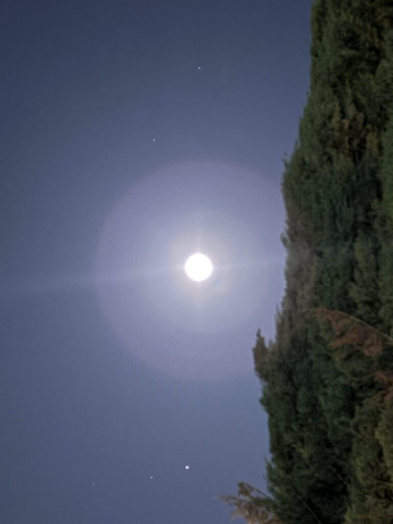 Clifford Singer. Full Moon with Cypress. May 1. 2026