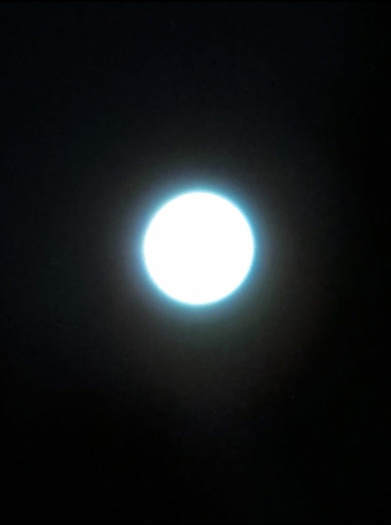 Clifford Singer. Full Moon. April 1. 2026