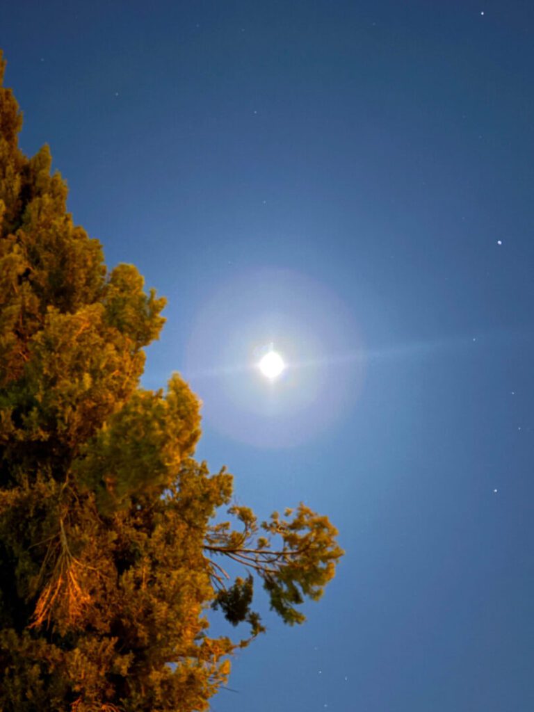 Clifford Singer. Full Moon. Cypress. Stars. May 1. 2026