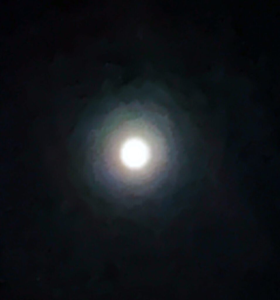 Clifford Singer. Full Moon. May 1. 2026