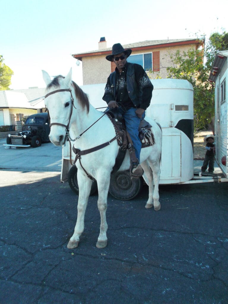 Person in black riding a white horse in a sunny outdoor setting.
