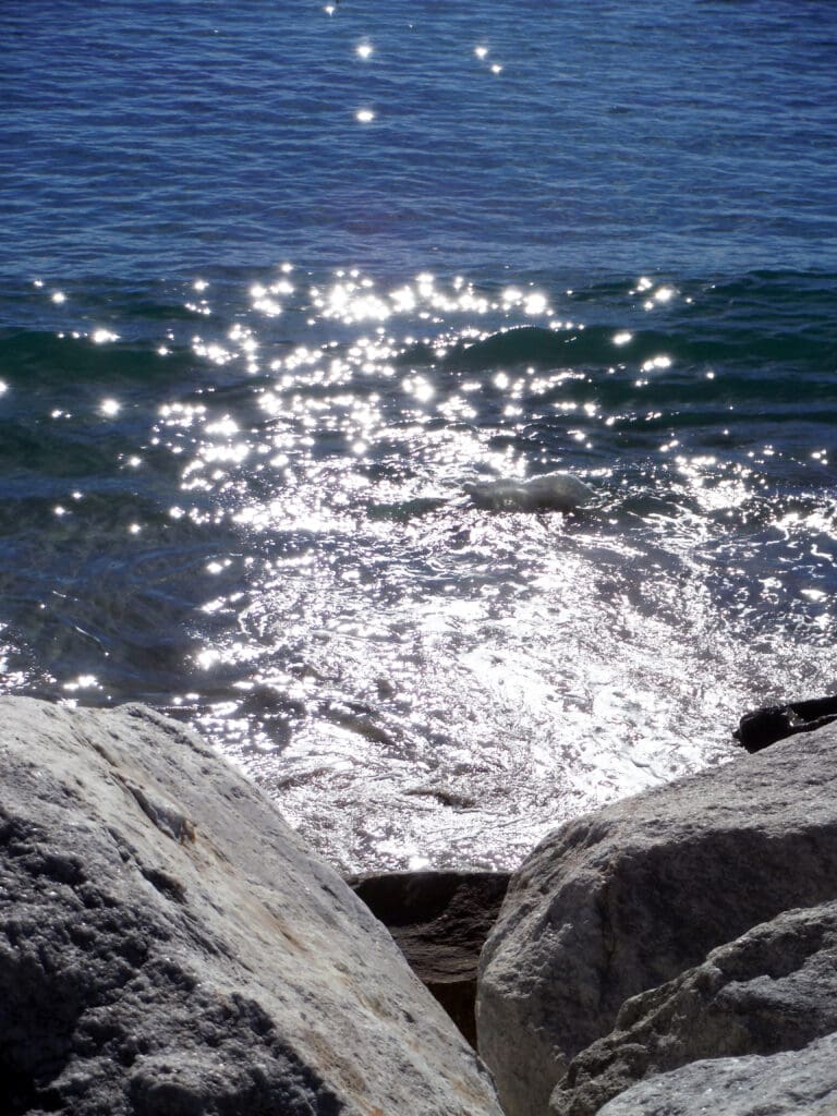 Ocean Wave. 2019. Fuji Underwater Camera