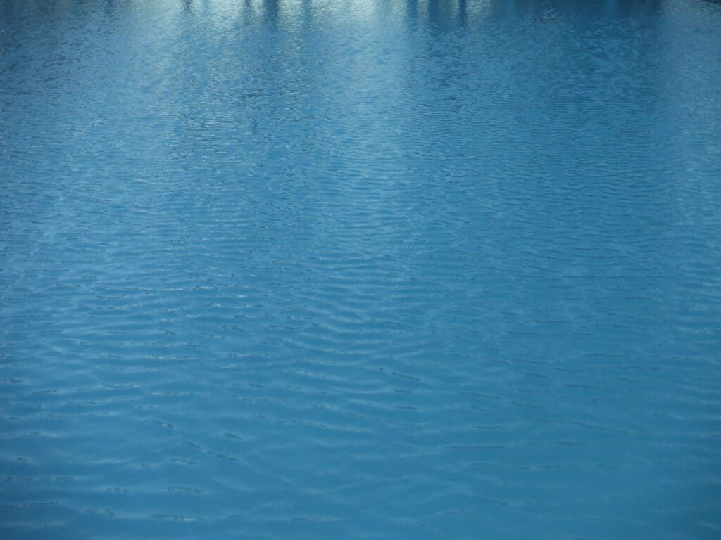 Calm blue water surface with gentle ripples.