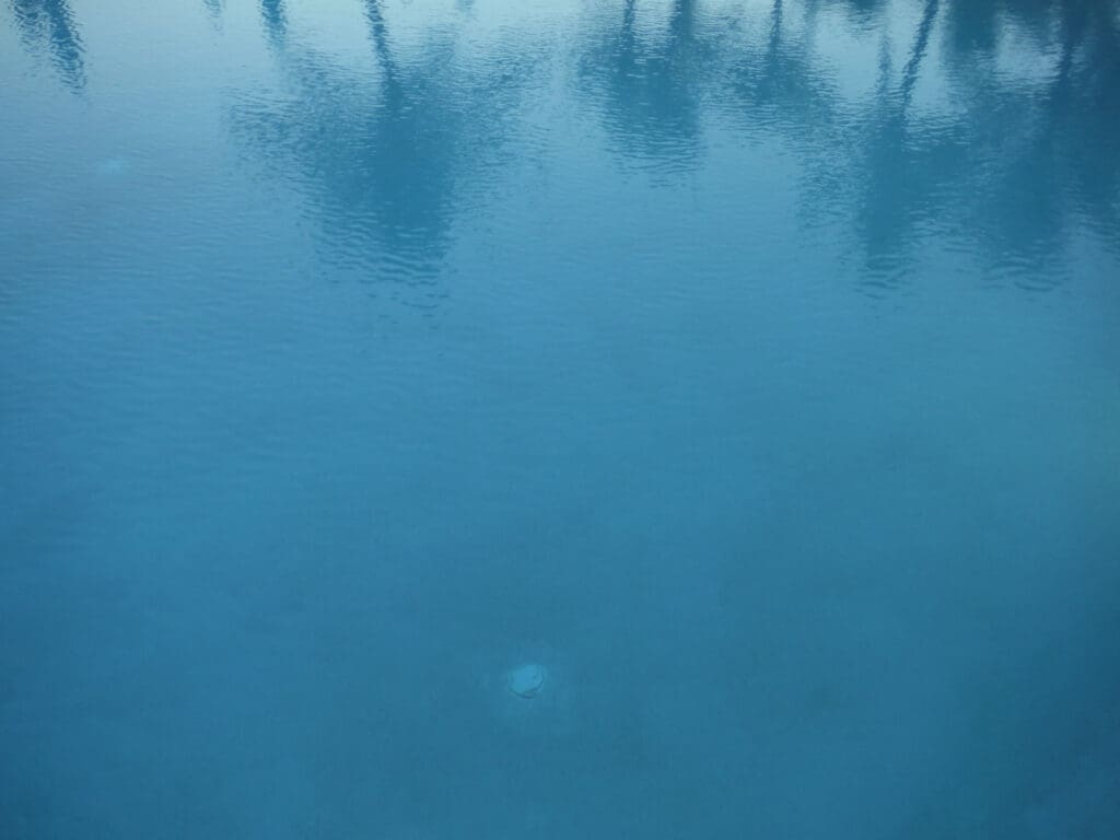 A calm blue water surface reflecting tree silhouettes.