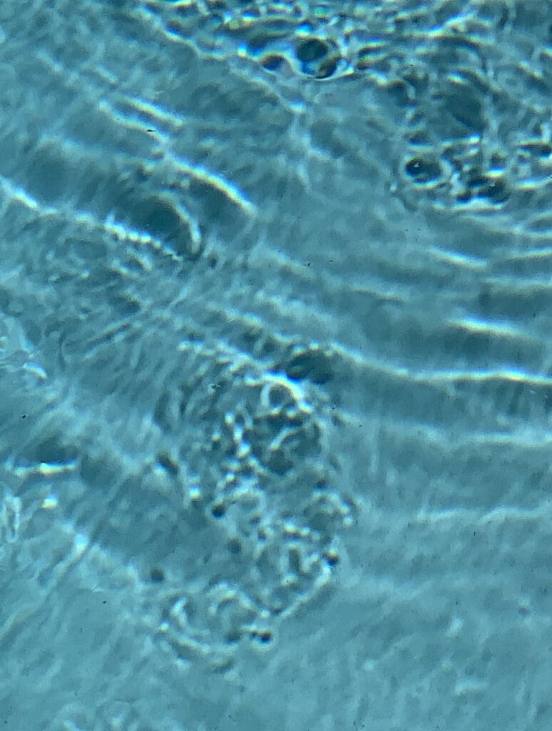 Clear blue water with gentle ripples on the surface.