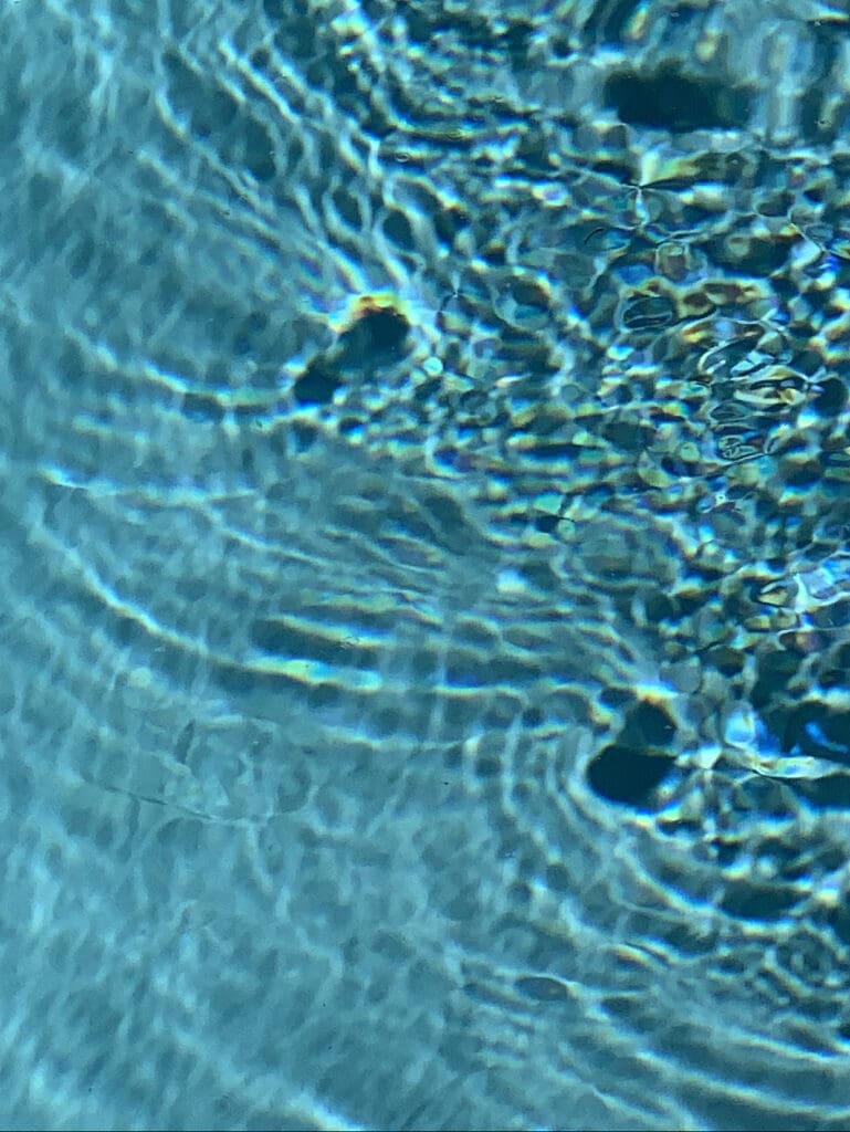 Close-up of water surface showing two small whirlpools with ripple effects.