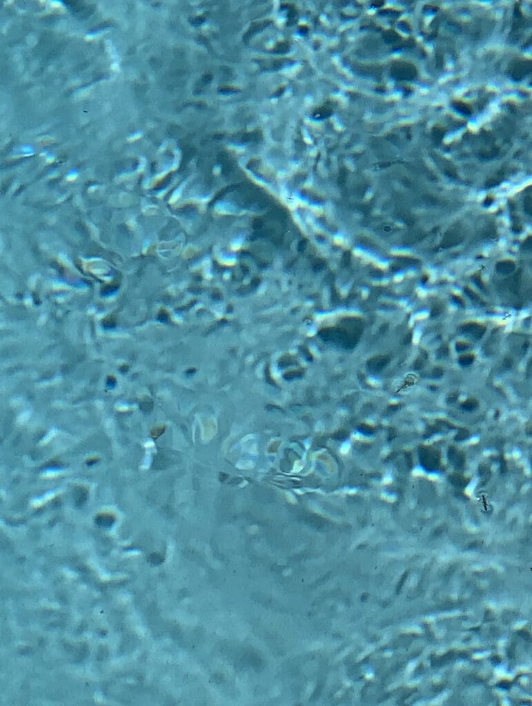 Close-up of textured blue surface with irregular patterns.