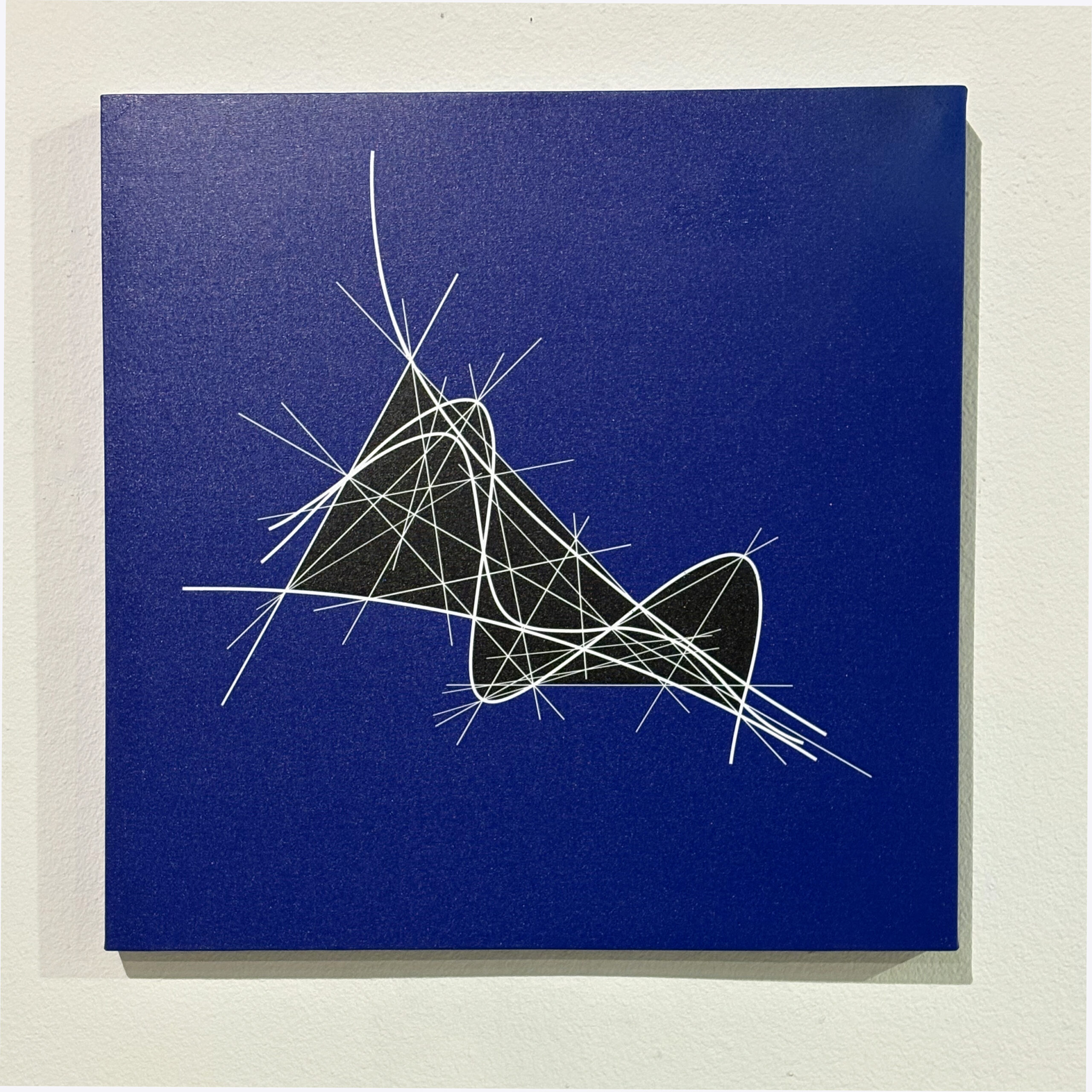 Clifford Singer. Transcendental Functions. Min Max Of Damping Vibration Curve. 2024