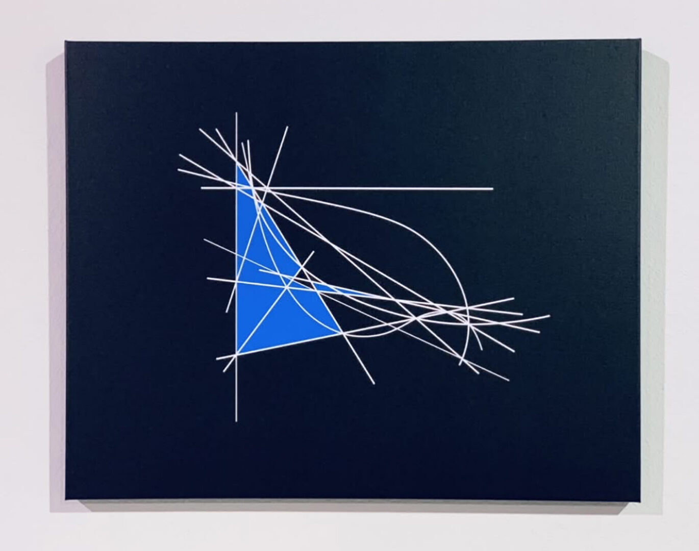Clifford Singer. Brachystochrone Problem. 2024