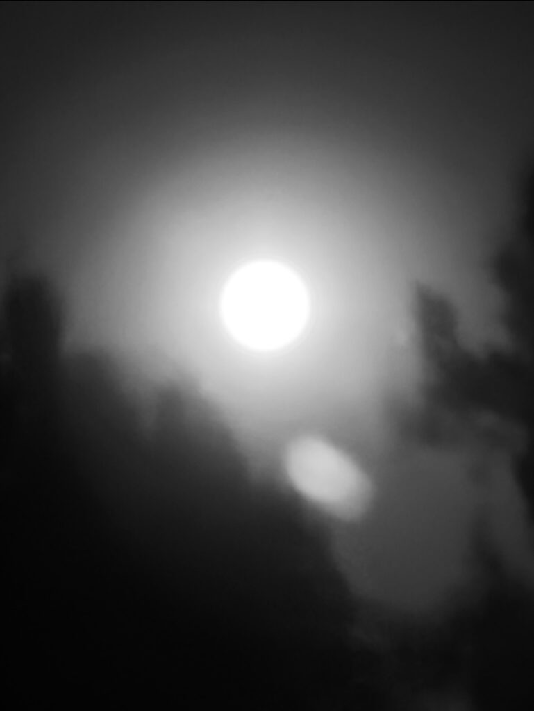  Clifford Singer. Full Moon. April 1. 2026