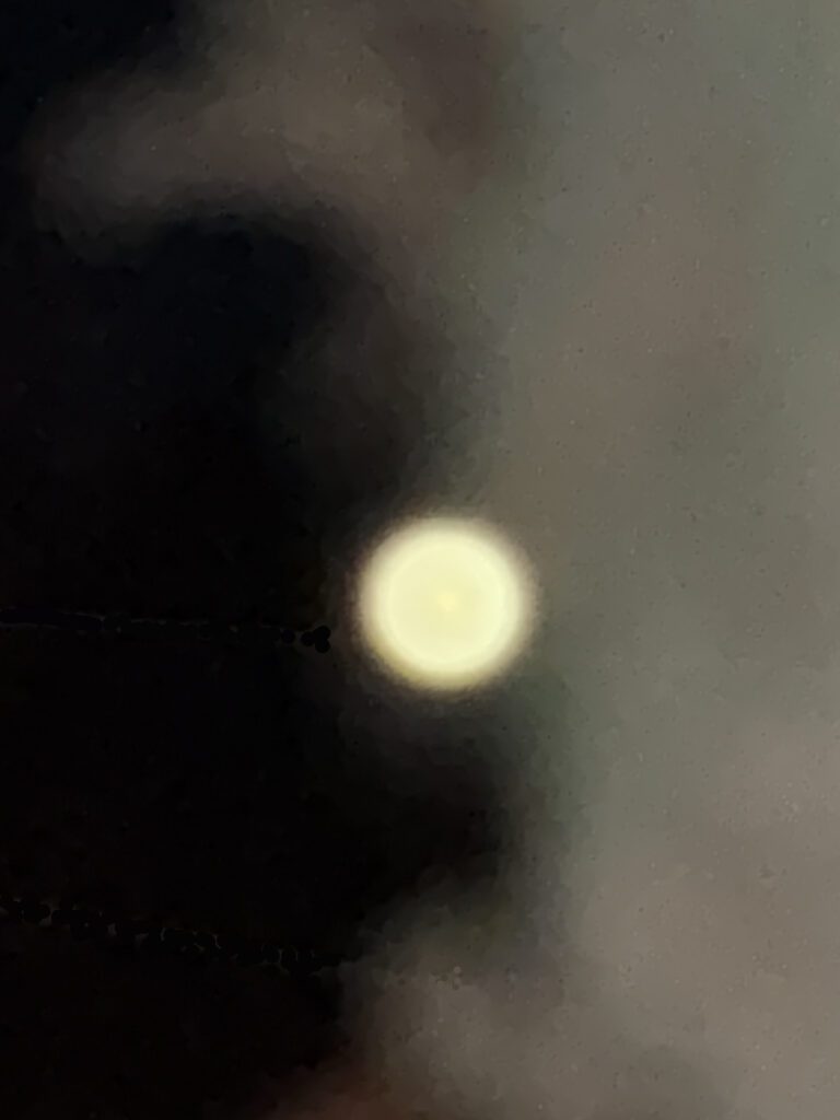 Clifford Singer. Full Moon. Photograph. iPhone. April 1. 2026