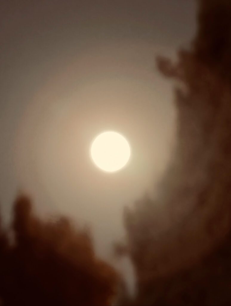 Clifford Singer. Full Moon. Photograph. iPhone. April 1. 2026