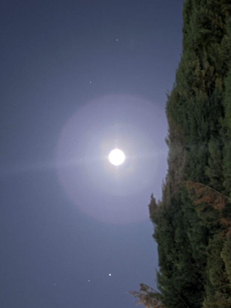 Full moon with planets and tall trees