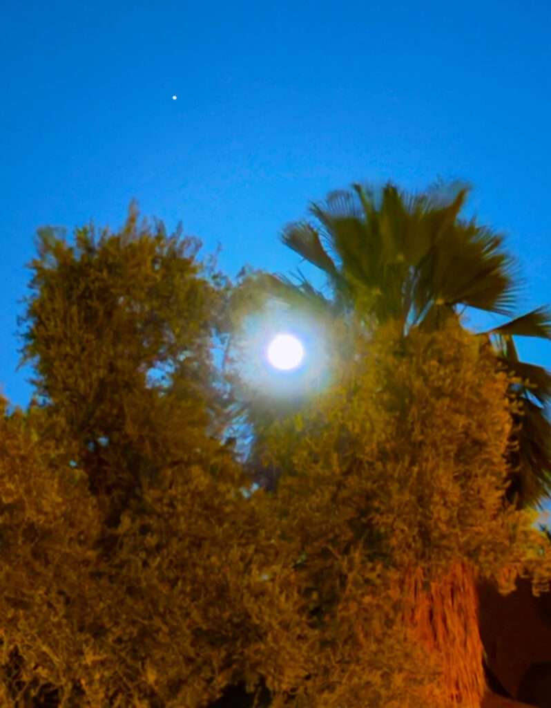 Clifford Singer. Full Moon. May 30. 2026