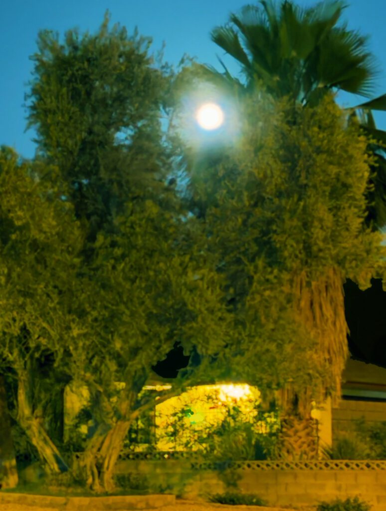 Clifford Singer. Full Moon. May 30. 2026