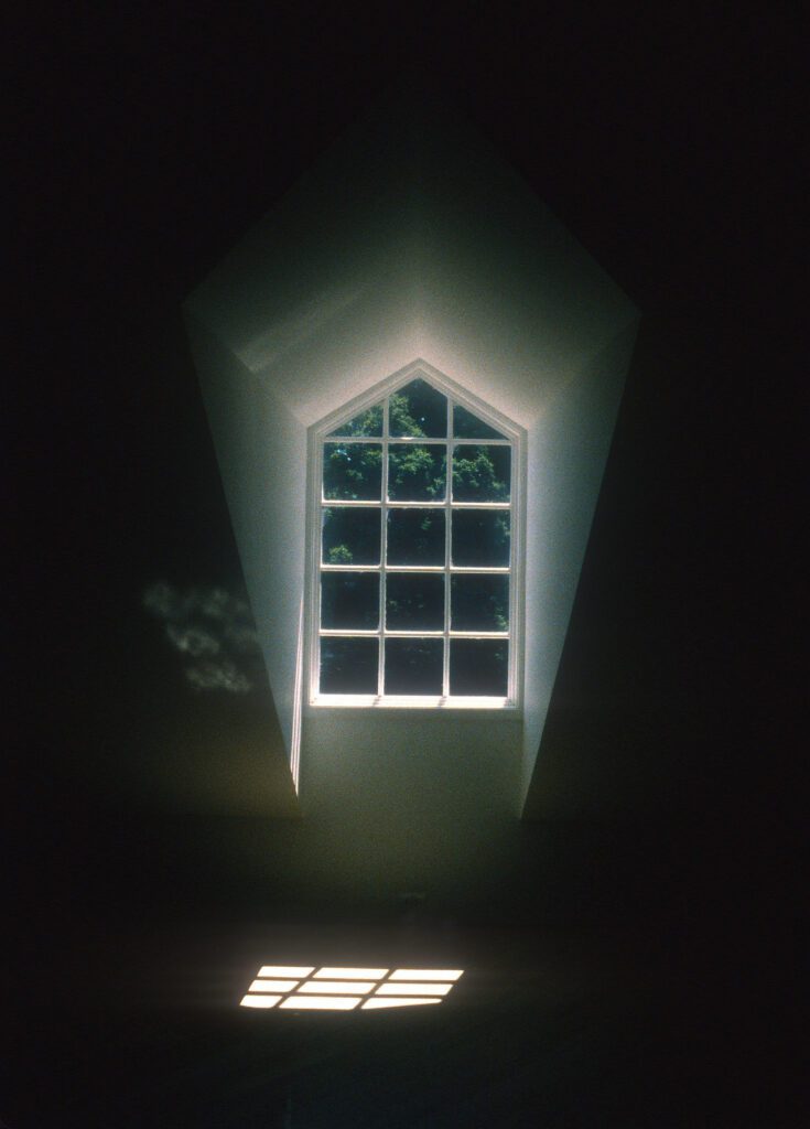Tall mullioned window framing green trees
